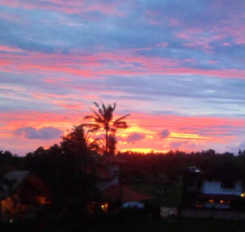 Nuriani Rooms Ubud Zewnętrze zdjęcie