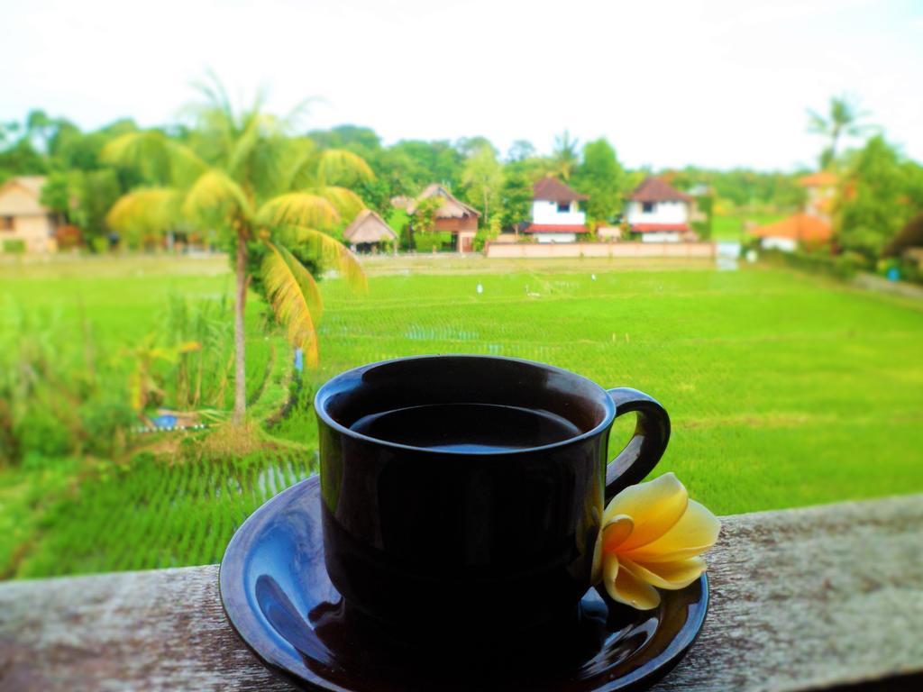 Nuriani Rooms Ubud Zewnętrze zdjęcie